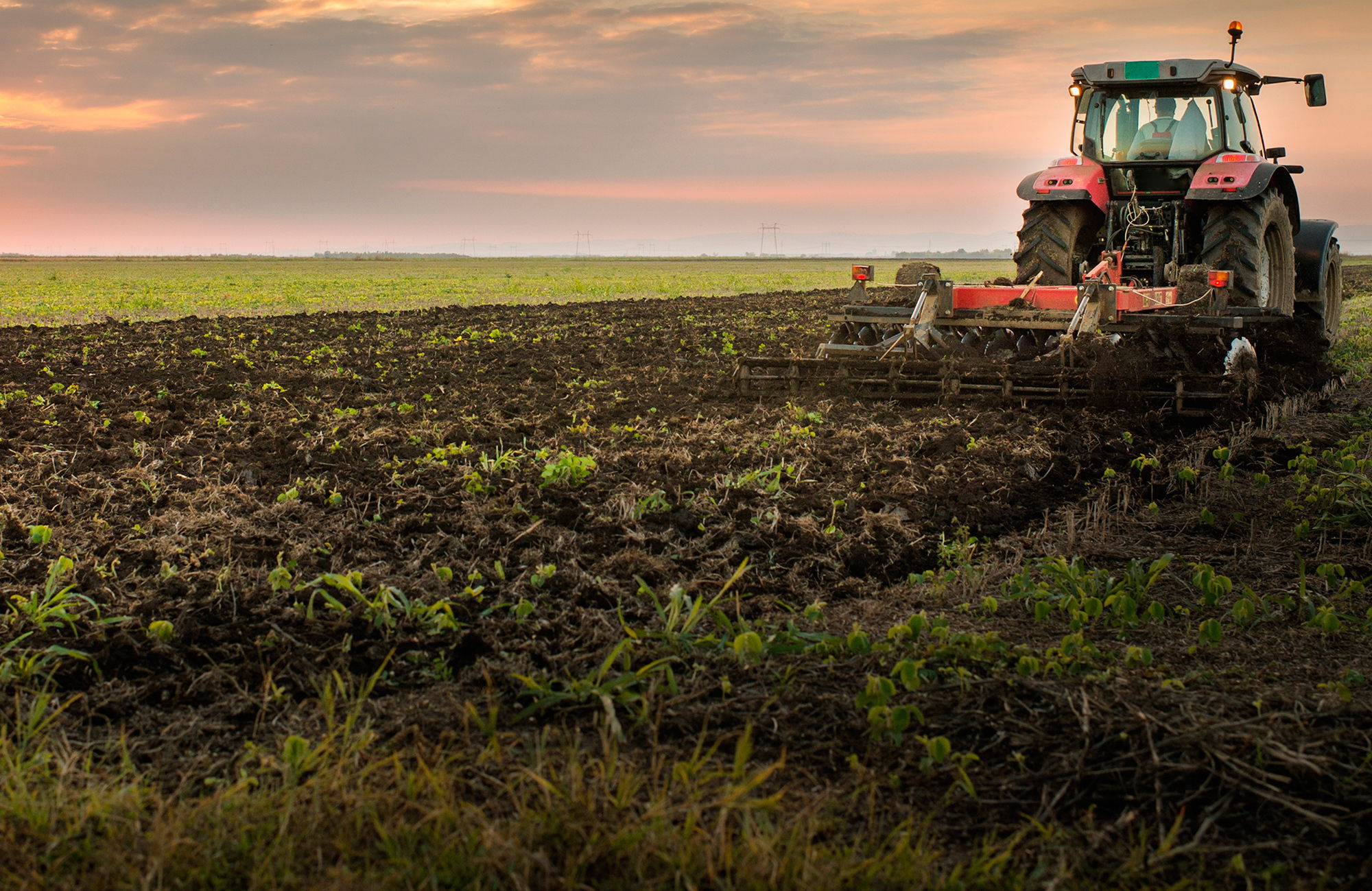 Integral Agropecuario